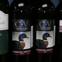 Merlot